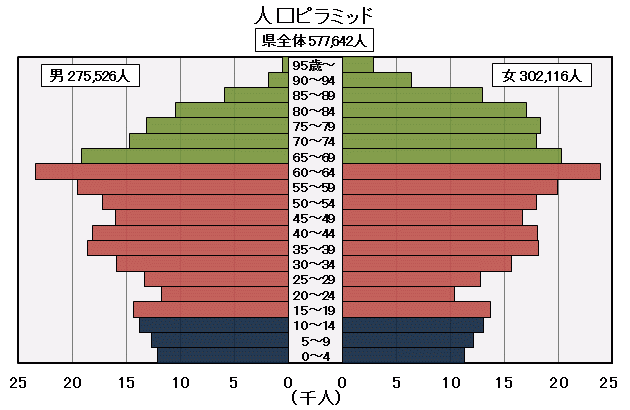 人口ピラミッドの図