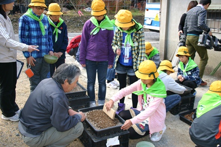 藤原苗圃さんから説明を受け作業する美鳥の大使