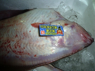 あじろがれいのラベル