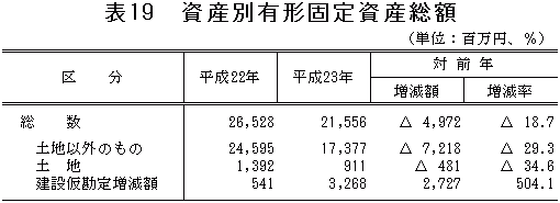 表19「資産別有形固定資産総額」