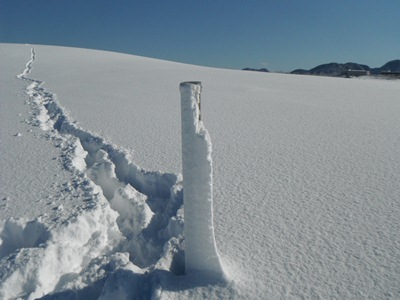調査杭の雪