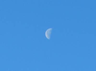 青空の中の月