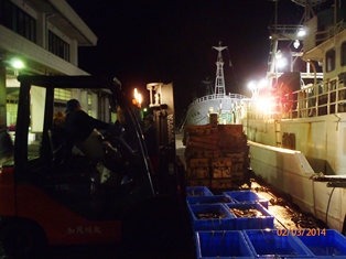 活ガニ水槽に入れての荷揚げです。