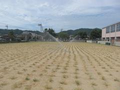 画像４