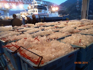 荷揚げ風景