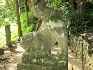 出雲式構え型狛犬阿形