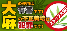 大麻は有害です。