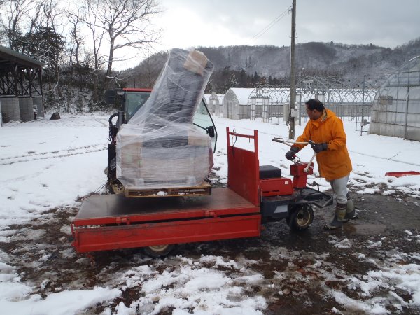 運搬車に積み込み