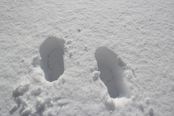 屋上の雪