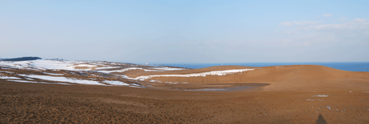 「馬の背」の風景－暖かい日差しが砂丘を照らしています