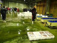 賀露支所の水揚げ状況