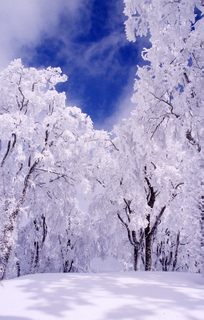 冬山　氷ノ山