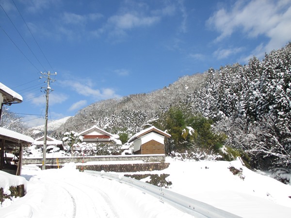 雪景色