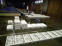 賀露（賀露、酒津、青谷、泊）の水揚げ状況