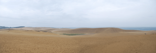 「馬の背」の風景－強い風が吹いています