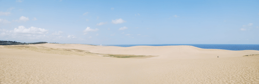 「馬の背」の風景－心地よい風が吹いてます