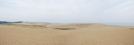 「馬の背」の風景－心地よい風が吹いています