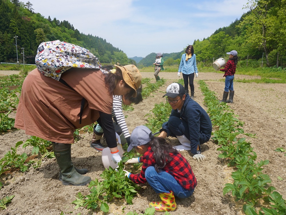 船岡地区の活動写真その1