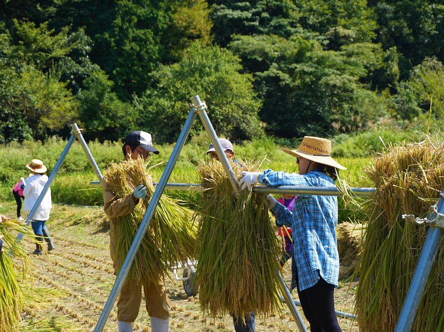 船岡地区の活動状況その6