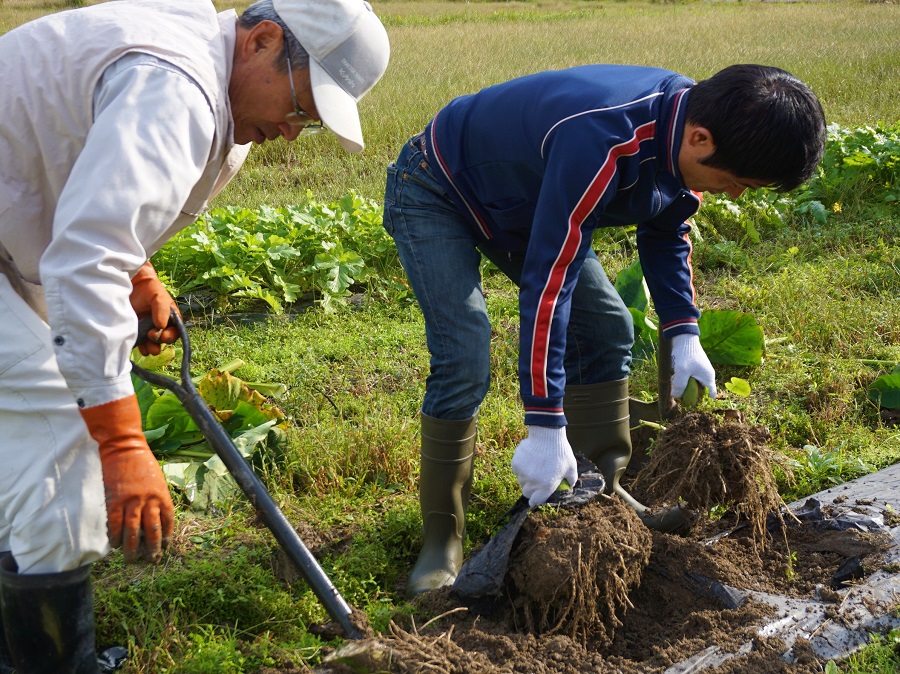 東郷地区の活動その2