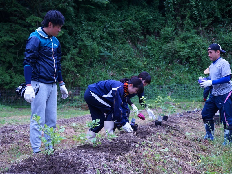 活動その2