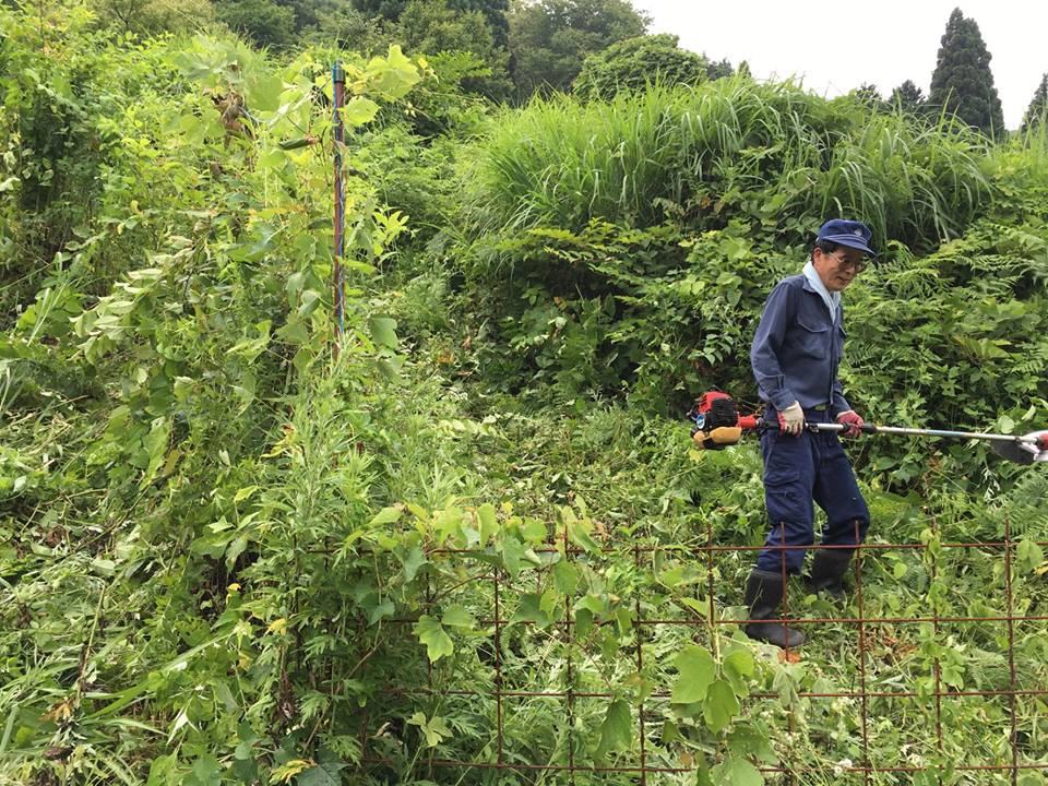 余戸地区活動その2