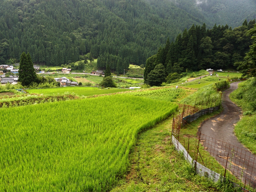 小船地区活動その7