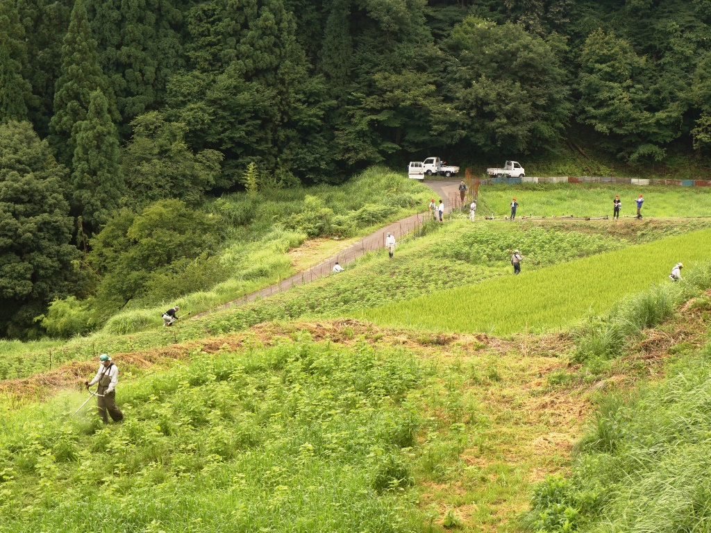 小船地区活動その8