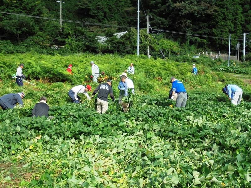 菅福地区活動その4