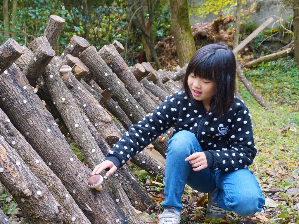 東小鹿地区の活動写真5