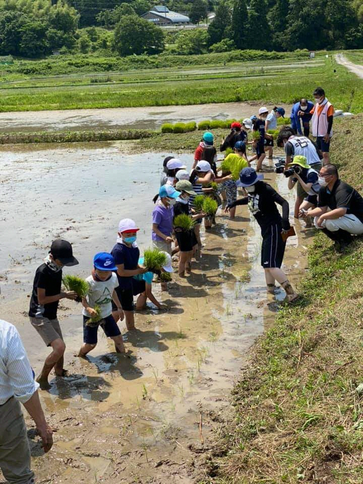 6月7日船岡地区