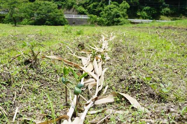 活動その９