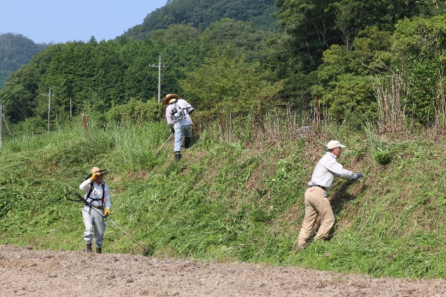 活動その３