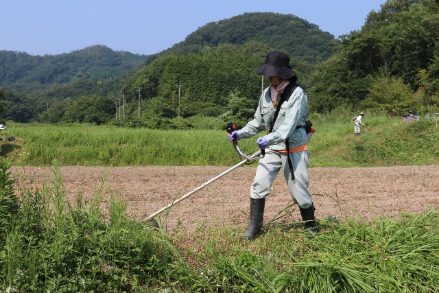 活動その５