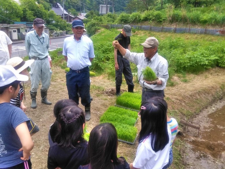 南さいはく地区の活動状況写真1