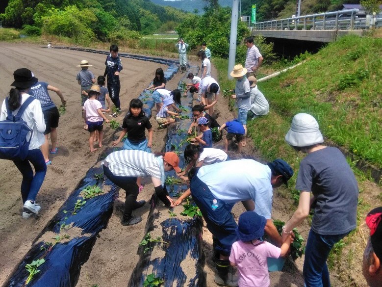 南さいはく地区の活動状況写真4