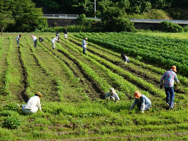 活動その２