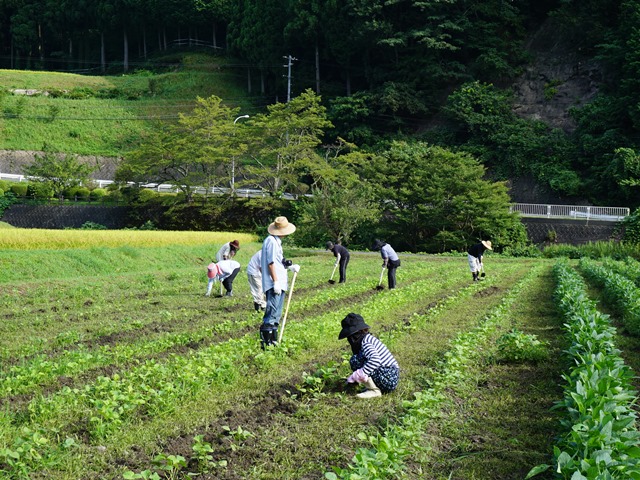 活動その４