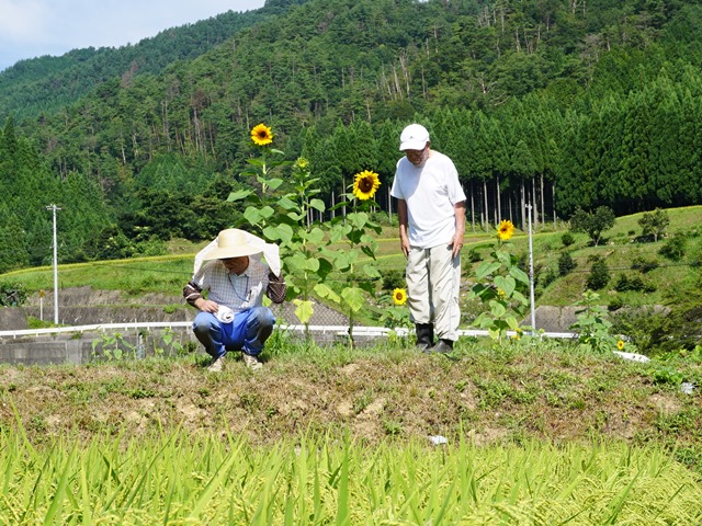 活動その５