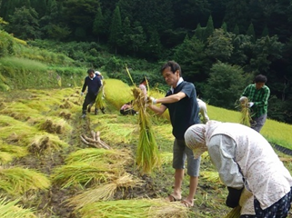 河本地区稲刈り作業写真その4