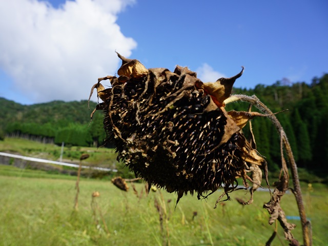 活動状況その１