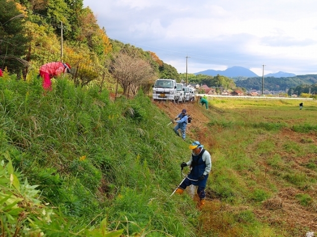 草刈り作業その１