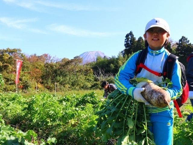 野菜収穫その３