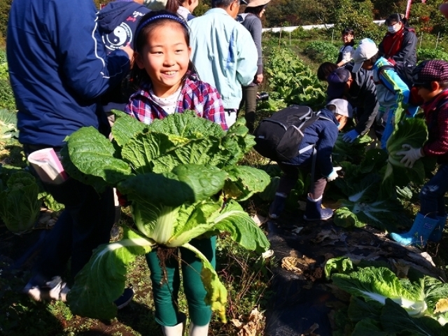 野菜収穫その４