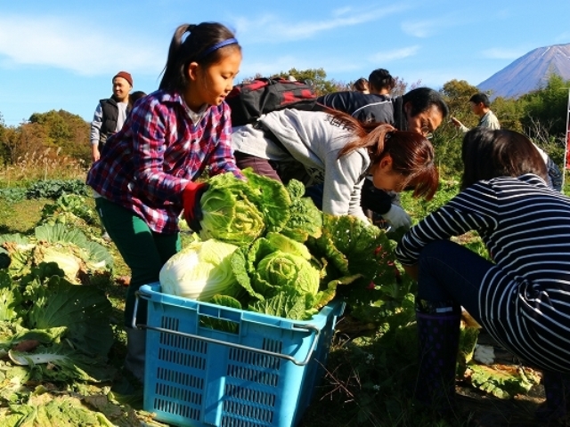 野菜収穫その５