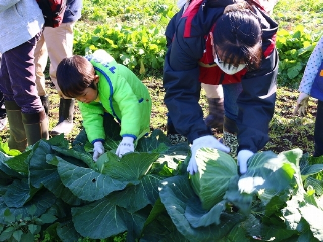 野菜収穫その６