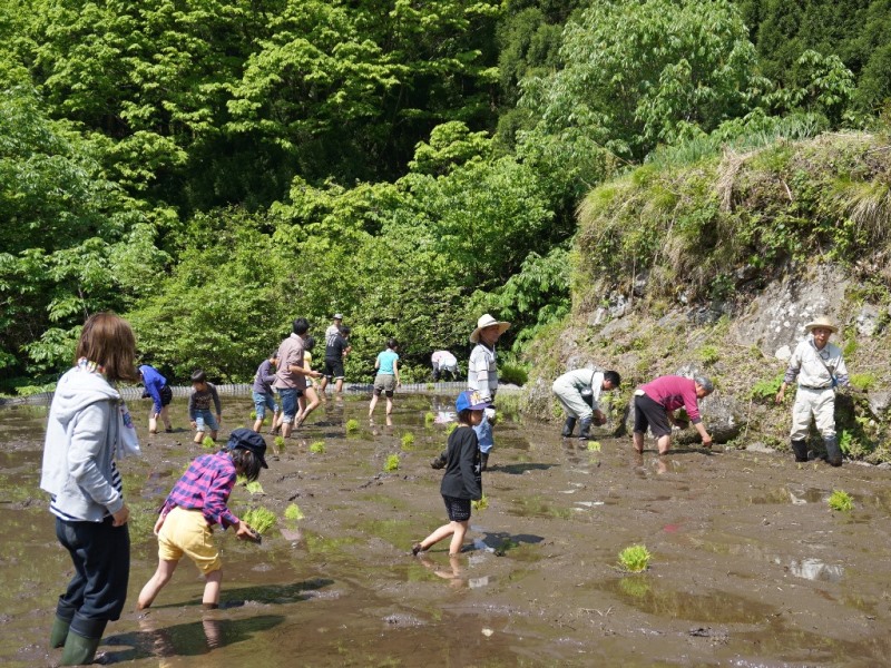 活動その１