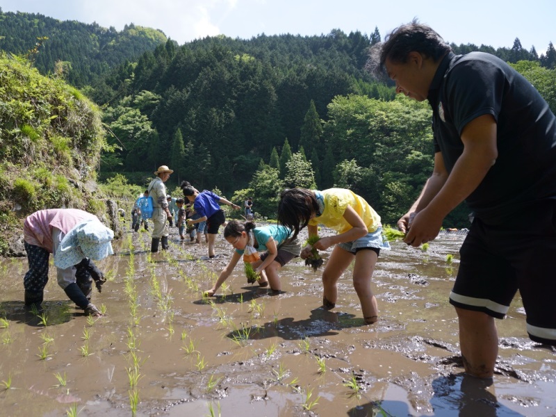 活動その２