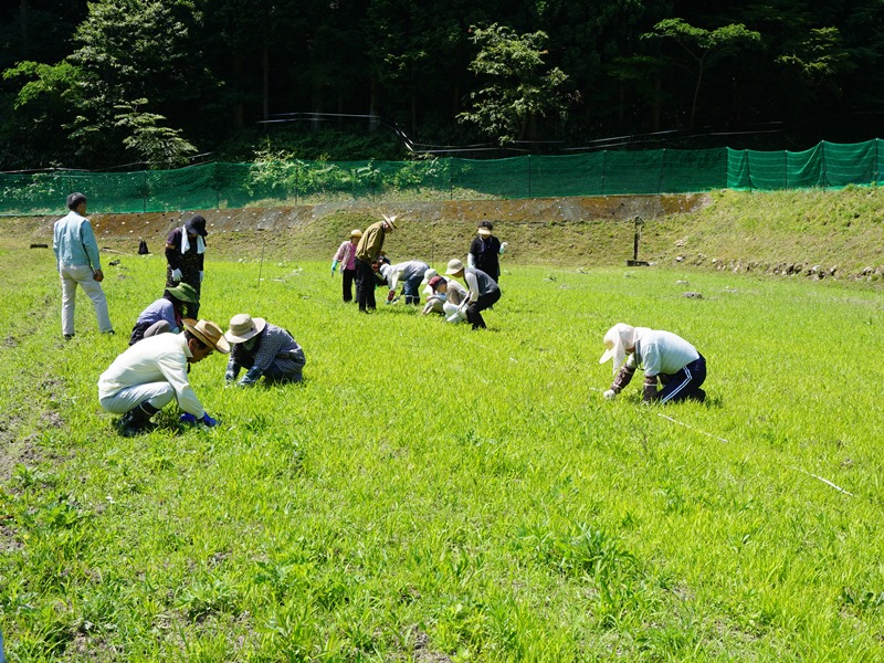 活動その1