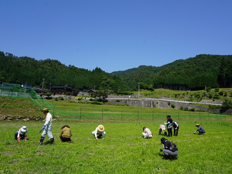 活動その3